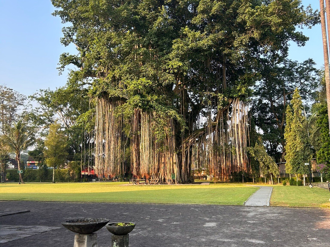 Borobudur Sunrise-Sleman必去景点
