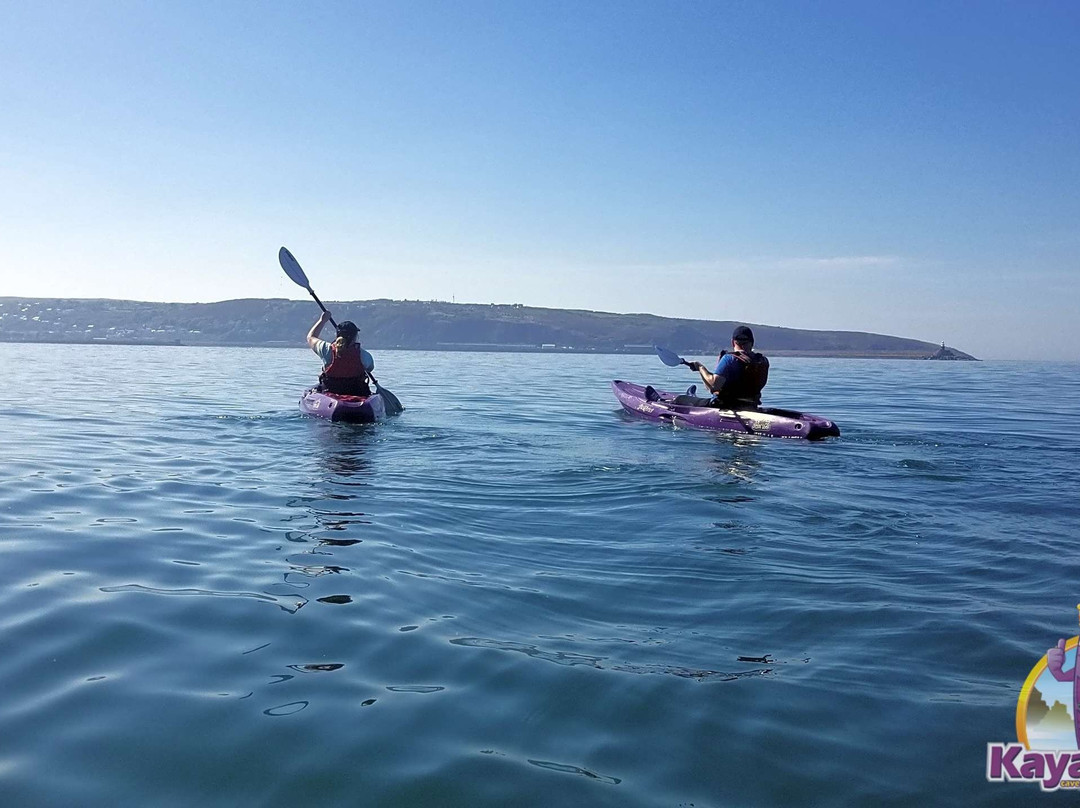 Kayak-King-Fishguard必去景点