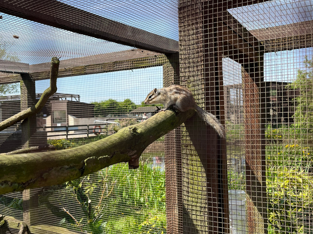 Filey Bird Garden & Animal Park景点图片