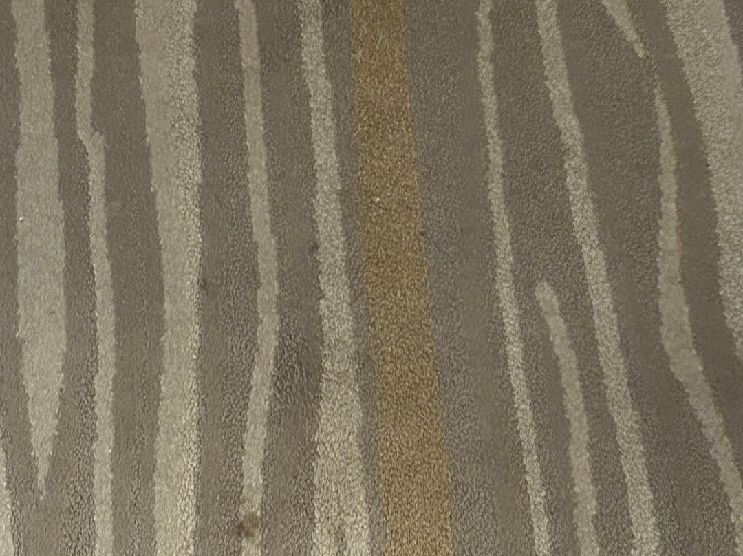 Staybridge Suites Summerville - Charleston Area by IHG主图