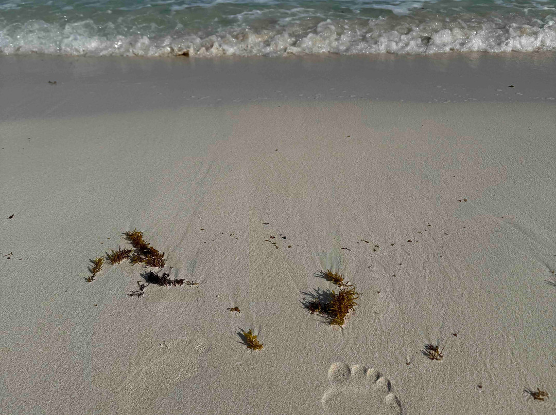 Maxwell Beach-Maxwell必去景点