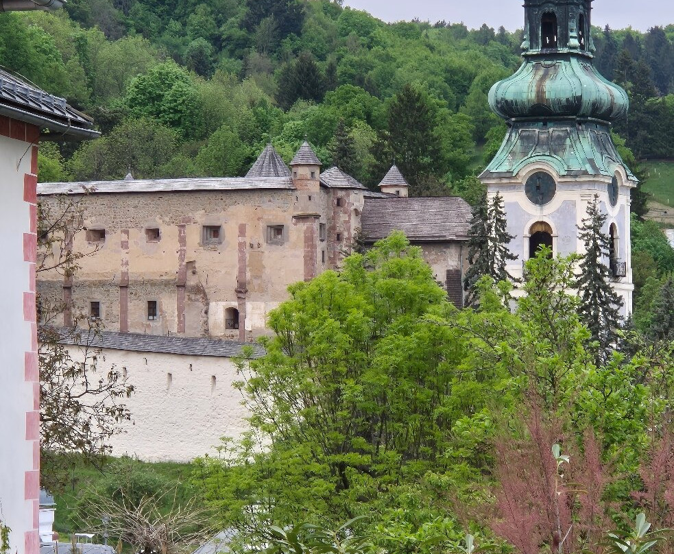 瑞斯拉普利卡罗派克膳食旅馆主图