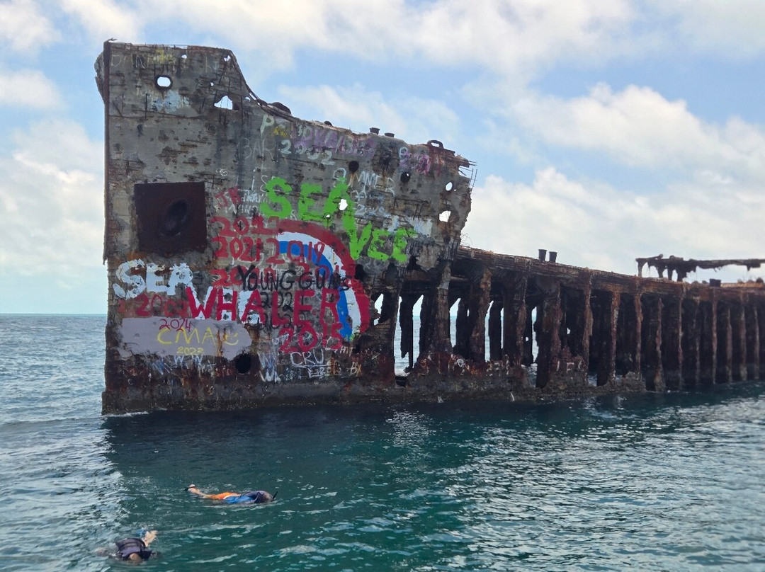 Sapona-Bimini必去景点