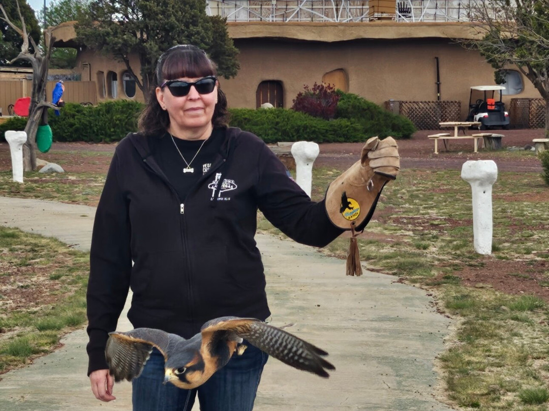 Raptor Ranch-威廉姆斯必去景点