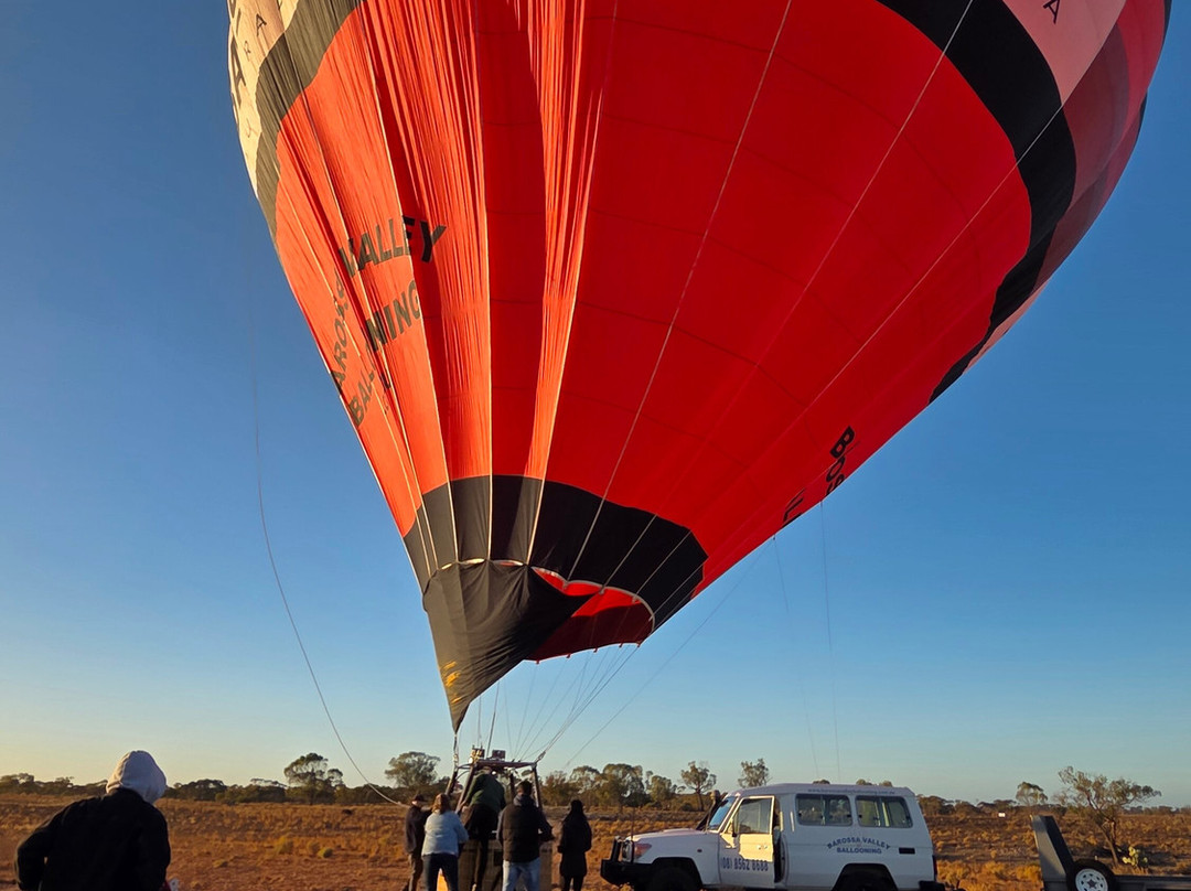 Barossa Valley Ballooning景点图片