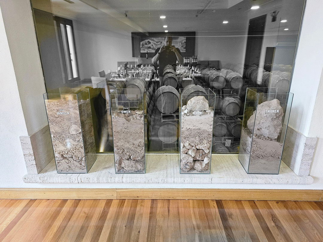 Casarena Bodega y Viñedos-路冉得库约必去景点