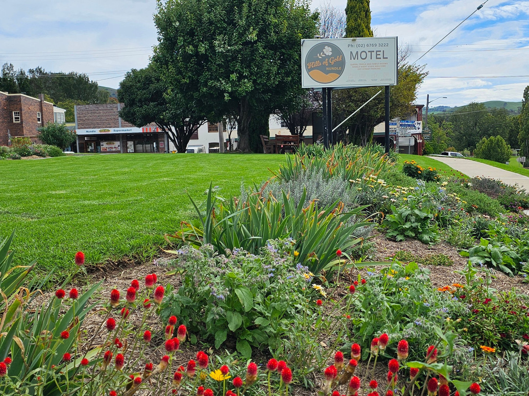 Hills Of Gold Motel主图