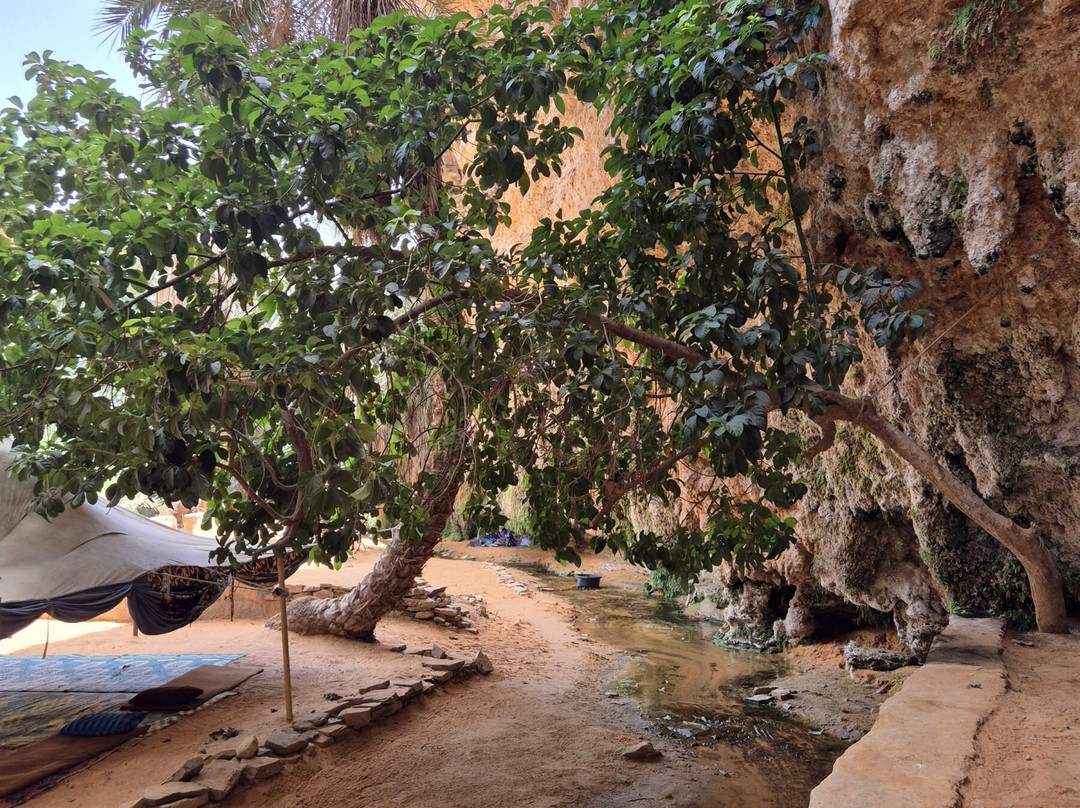 Terjit Oasis-Atar必去景点