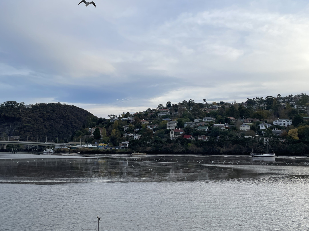 Tamar River-朗塞斯顿必去景点