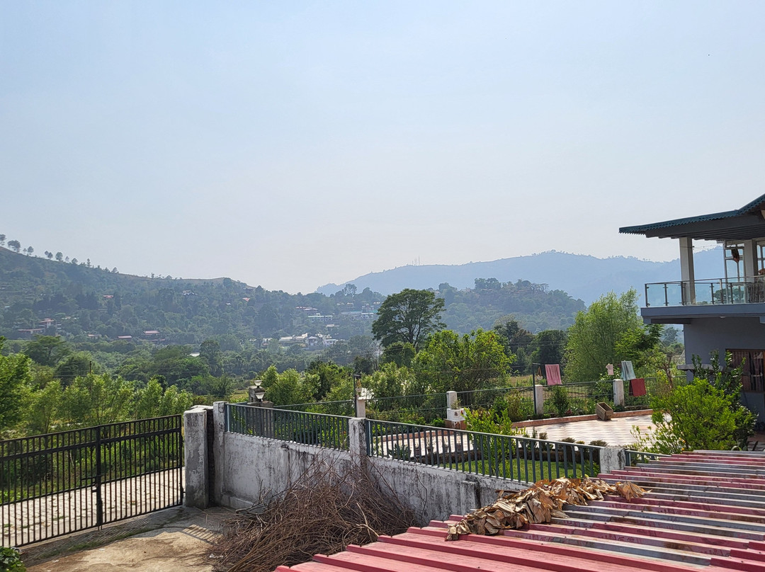 Hotel Spring Birds主图