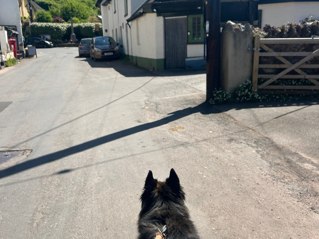 The Church House Inn-Stokeinteignhead必去景点