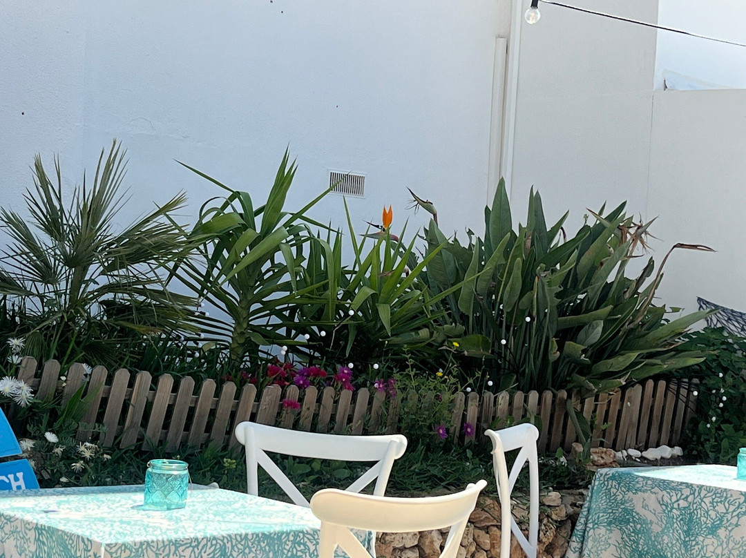 Marina De Cala D'Or-卡拉多尔必去景点