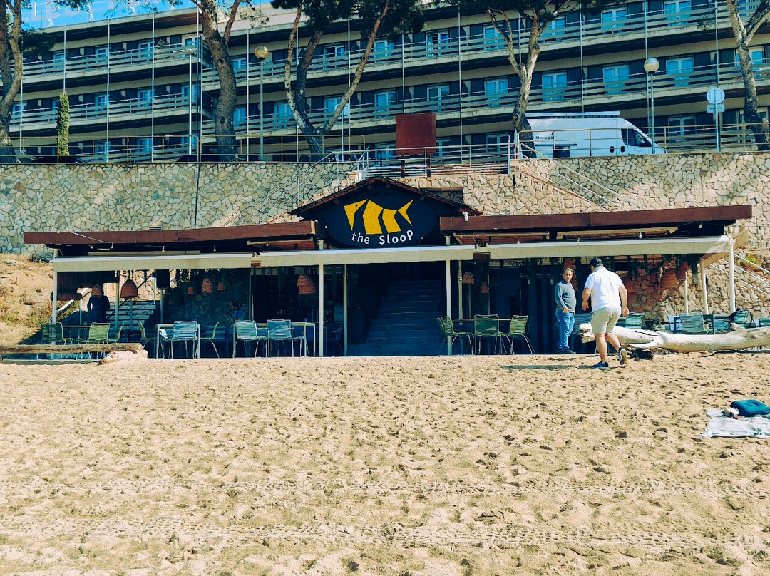 Hotel Canyelles Platja主图