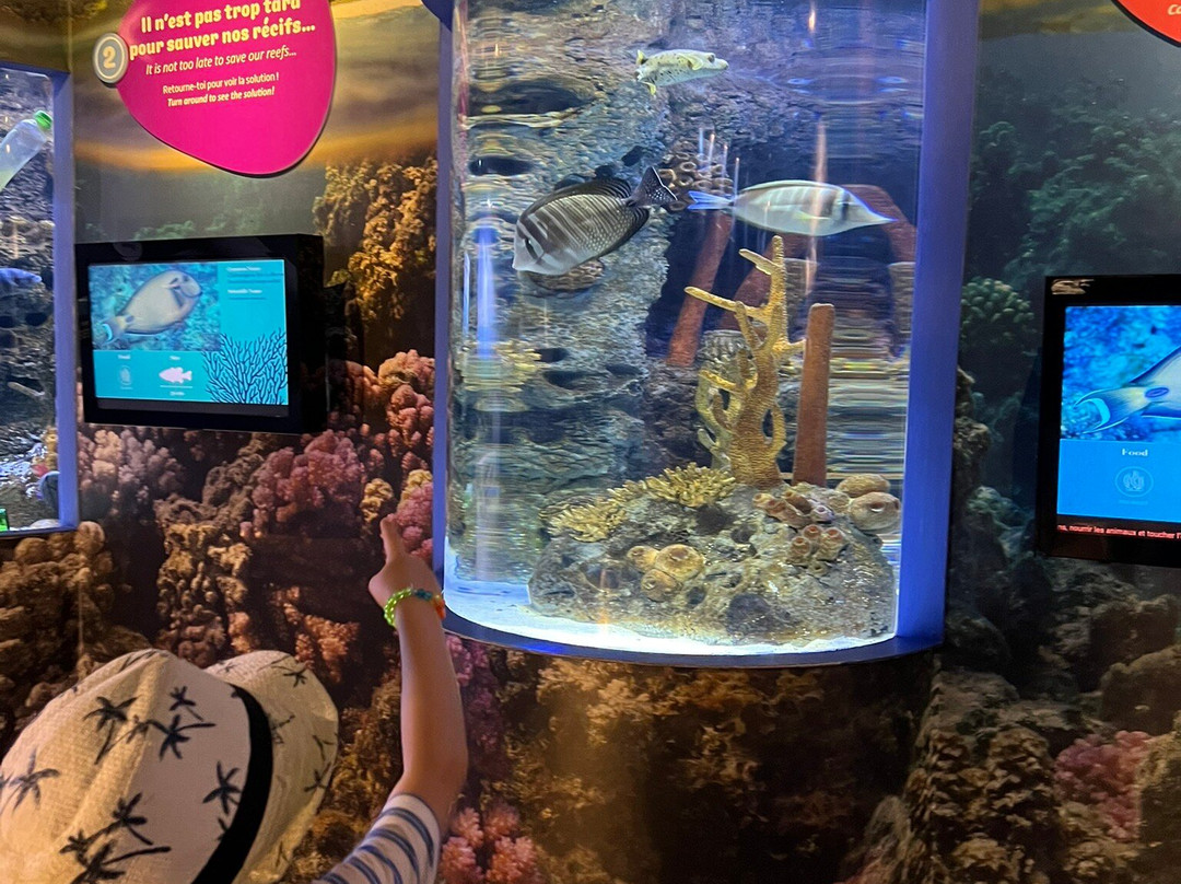 Odysseo Oceanarium Mauritius-路易士港必去景点