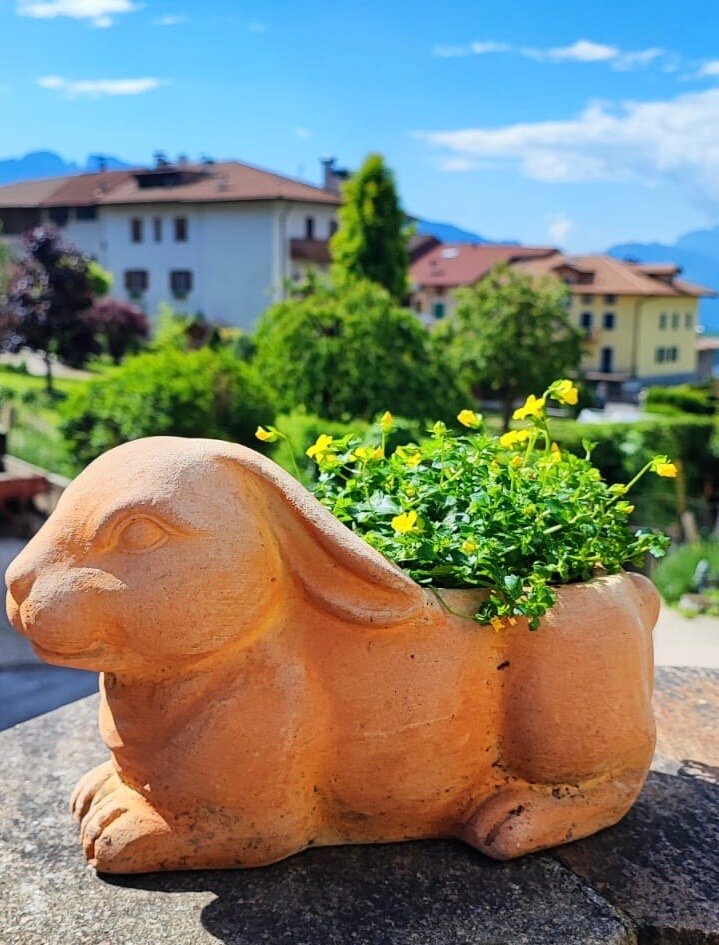 Agritur Casa Fabri-官方
