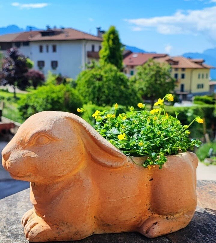 Agritur Casa Fabri主图