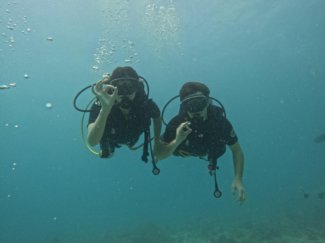 Octopus Diving Center景点图片