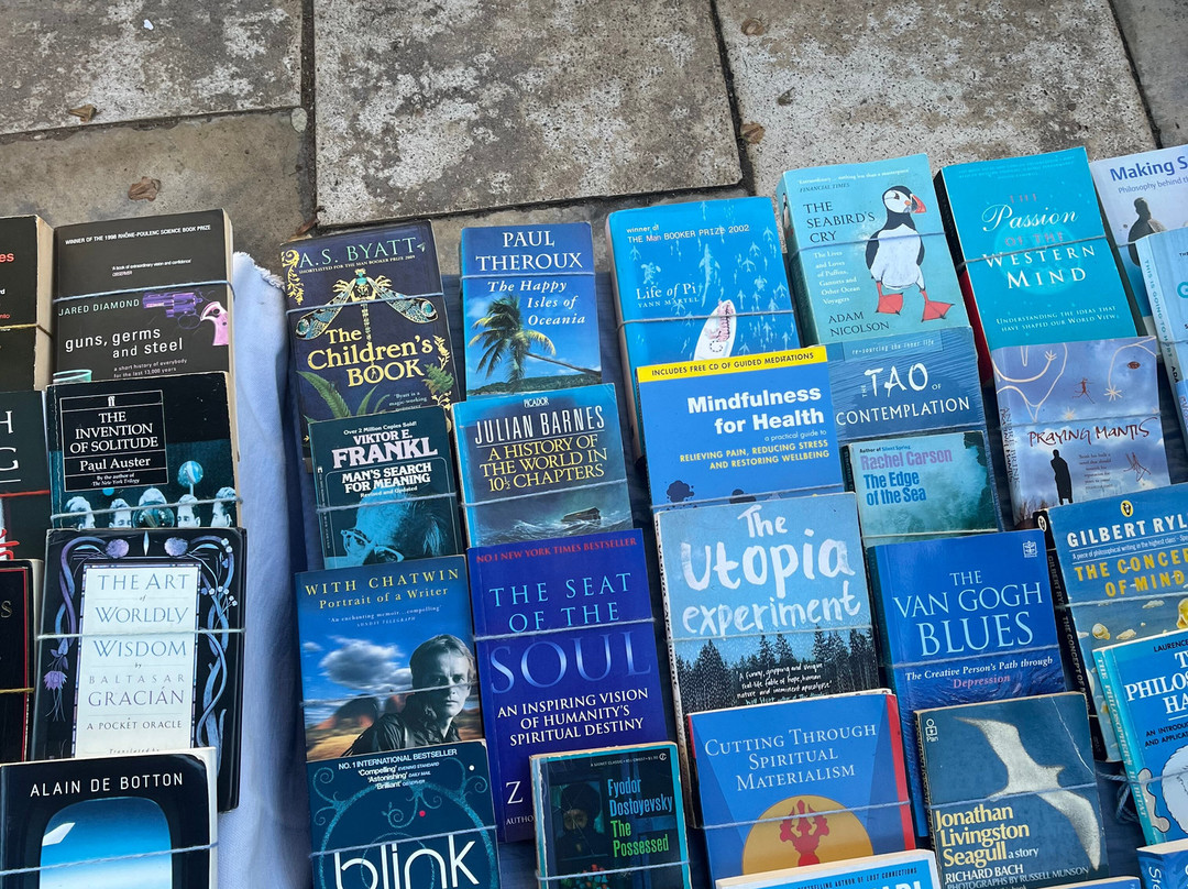 Kalk Bay Harbour-Kalk Bay必去景点