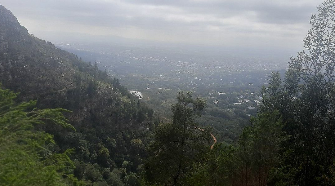 Cecilia Forest-康士坦提亚必去景点