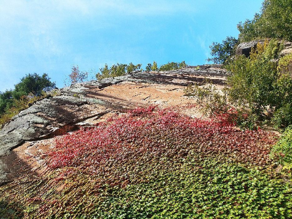 Saseongam Hermitage-求礼郡必去景点