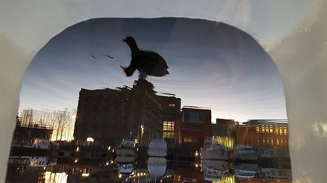 船上酒店船屋主图