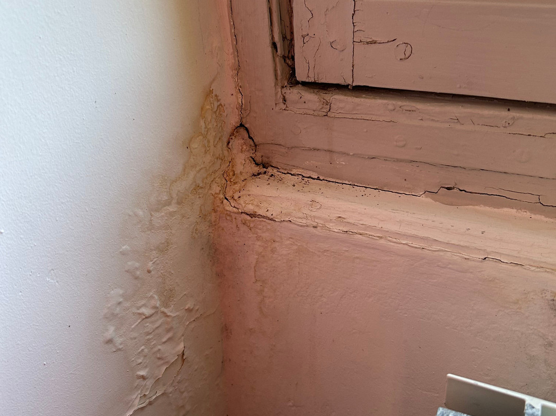 L'Auberge du Cedre主图