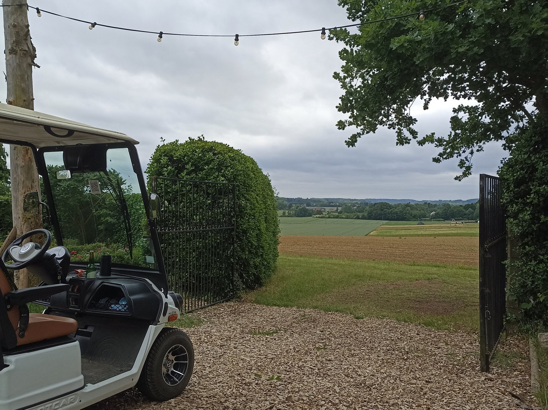 Wijnsafari in Hageland (Bekkevoort)景点图片