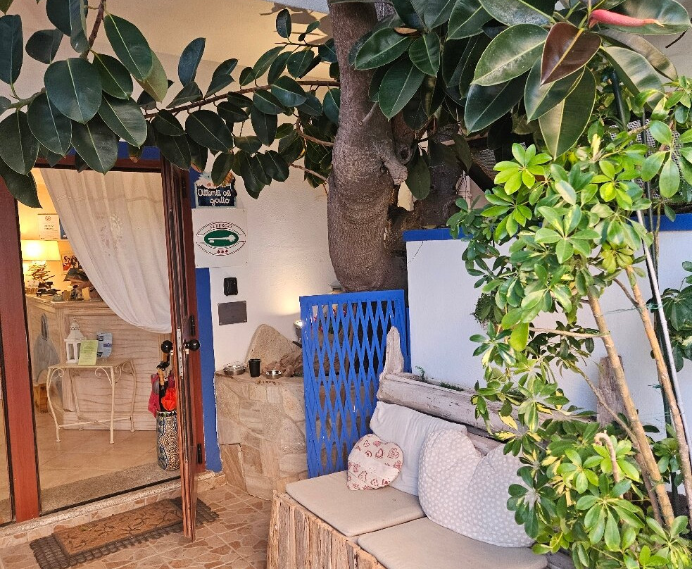 Hotel Tabby主图