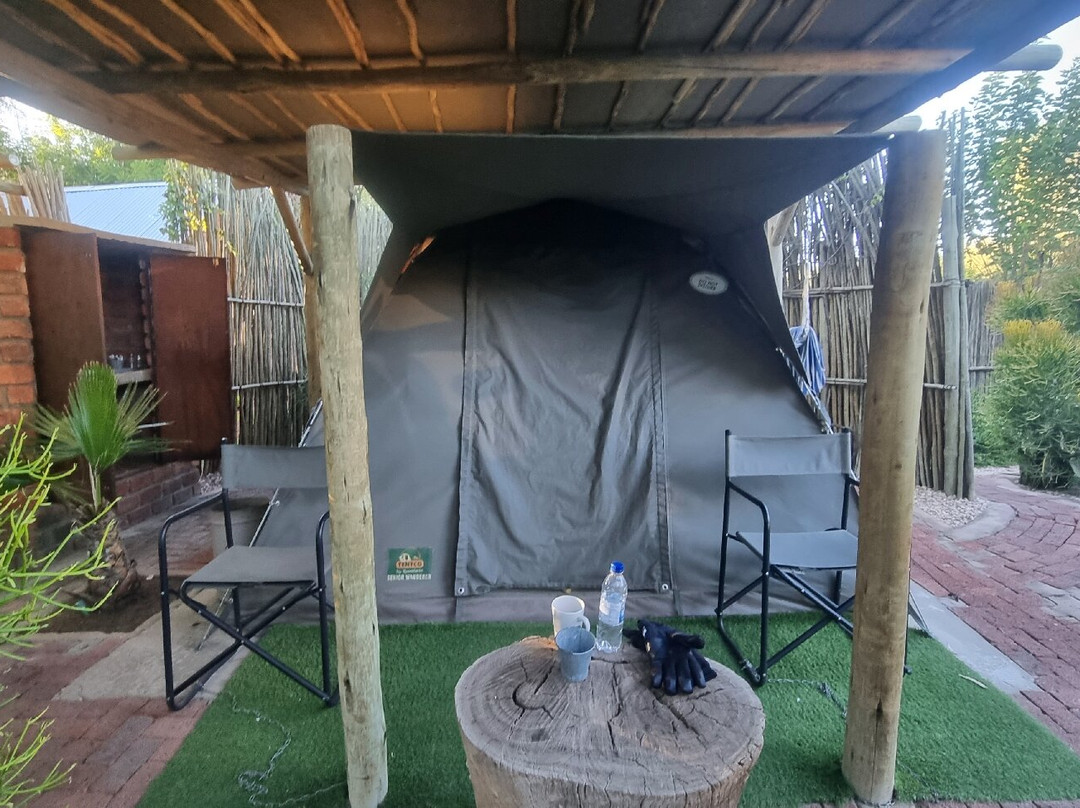 Acacia Africa-开普敦中心区必去景点