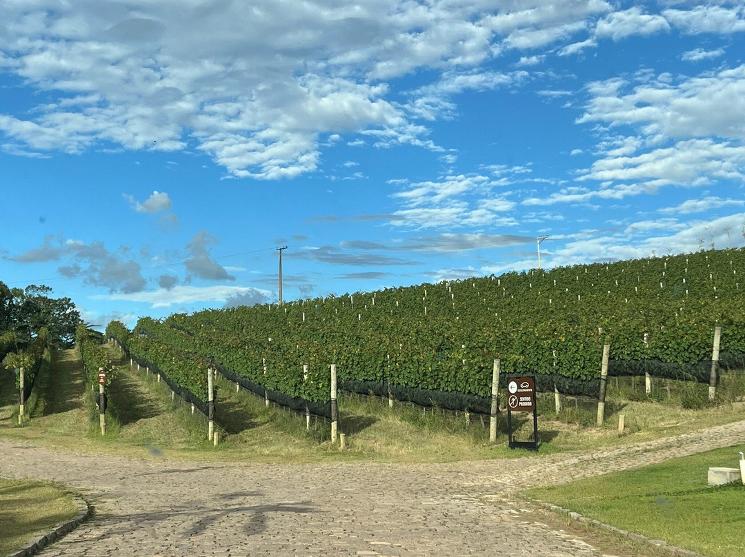 InnVernia-Espirito Santo Do Pinhal必去景点