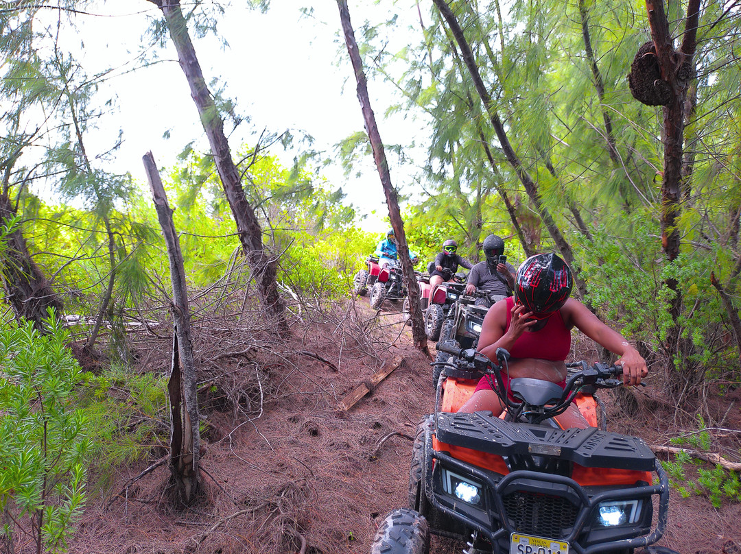 Pink Flamingo Atv Adventure Tour-The Settlement必去景点