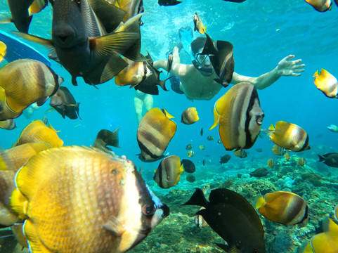 Supi Tour Nusa Penida-沙努尔必去景点