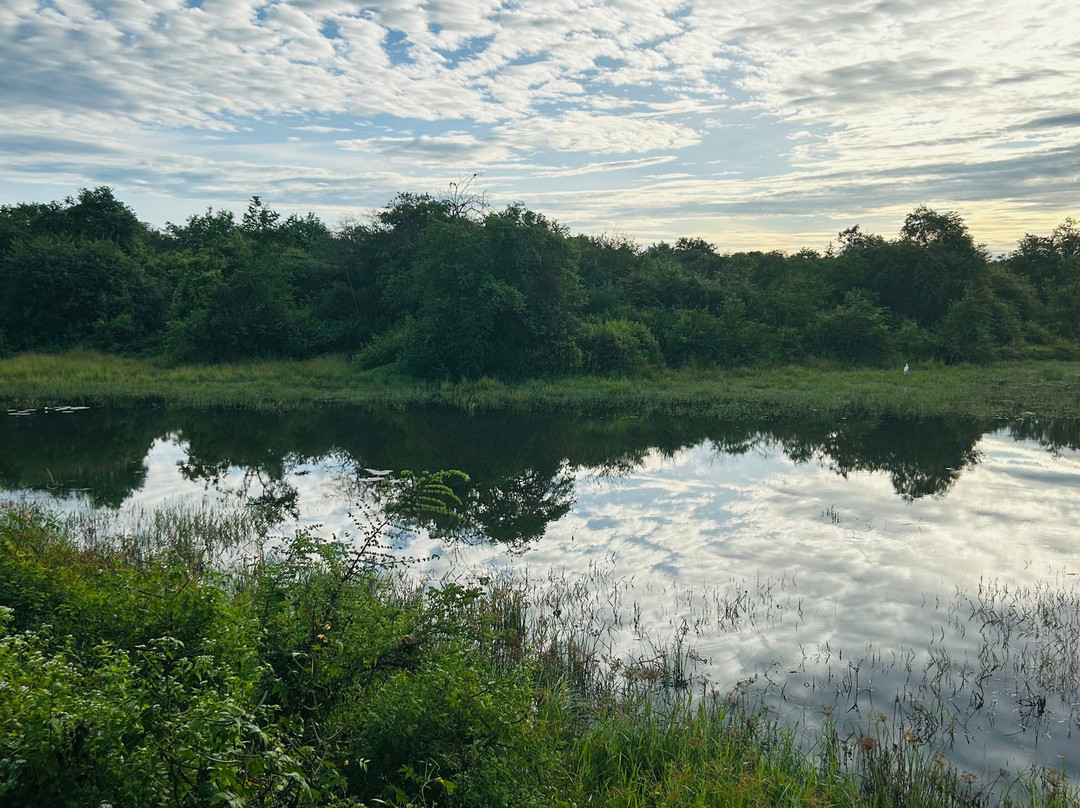 Viaggi Sri Lanka By Kads Tours-Panadura必去景点