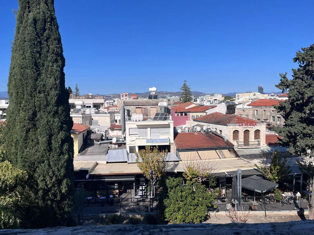 Limassol Castle-利马索尔必去景点