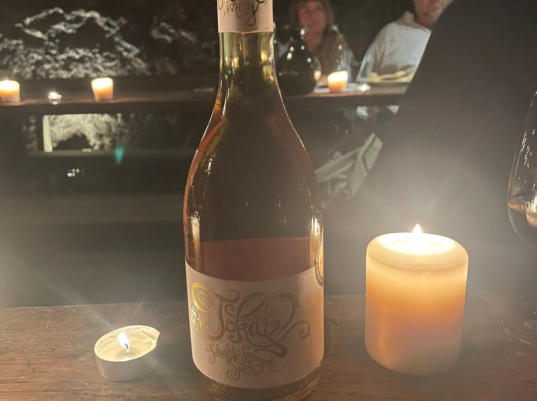 Tokaj Macik winery-Mala Trna必去景点