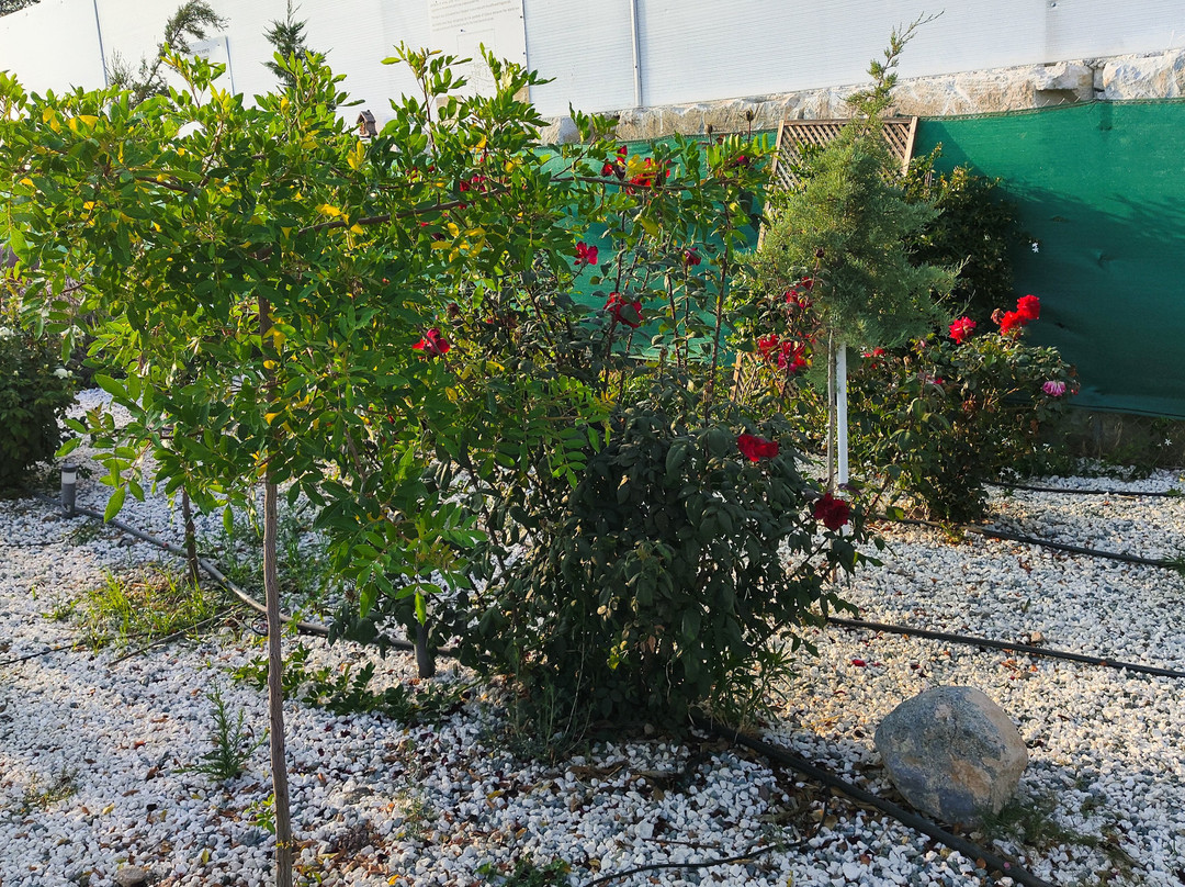 Pyrgos Aroma Herbal Park-Pyrgos必去景点