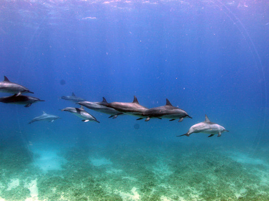快乐海洋游-考普雷必去景点