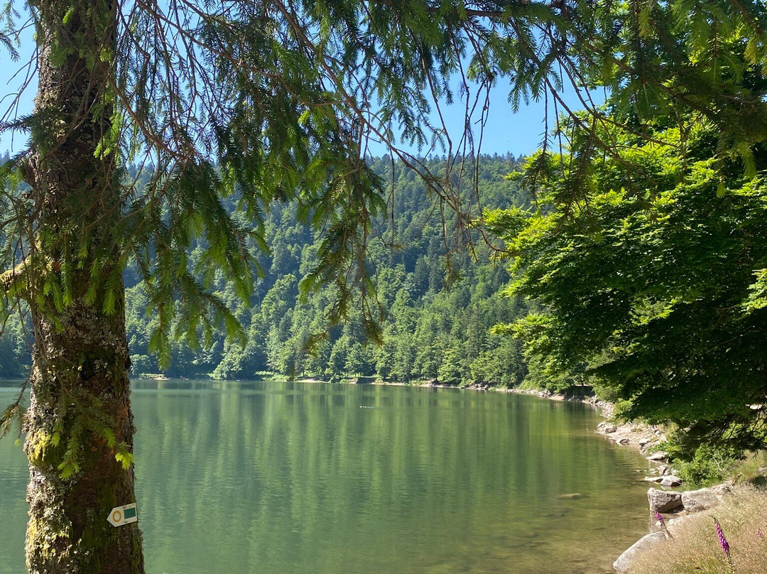 Le Lac des Corbeaux-La Bresse必去景点