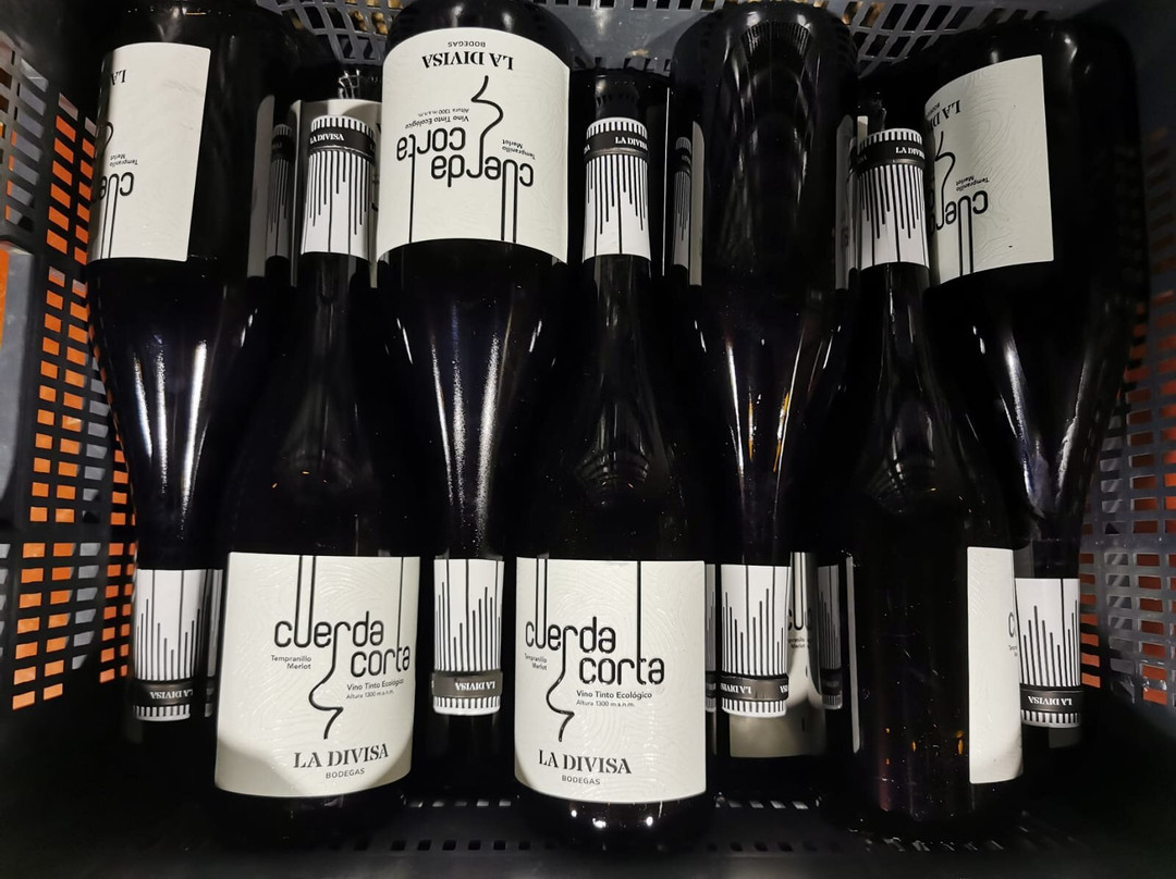 Bodegas La Divisa-Torvizcon必去景点