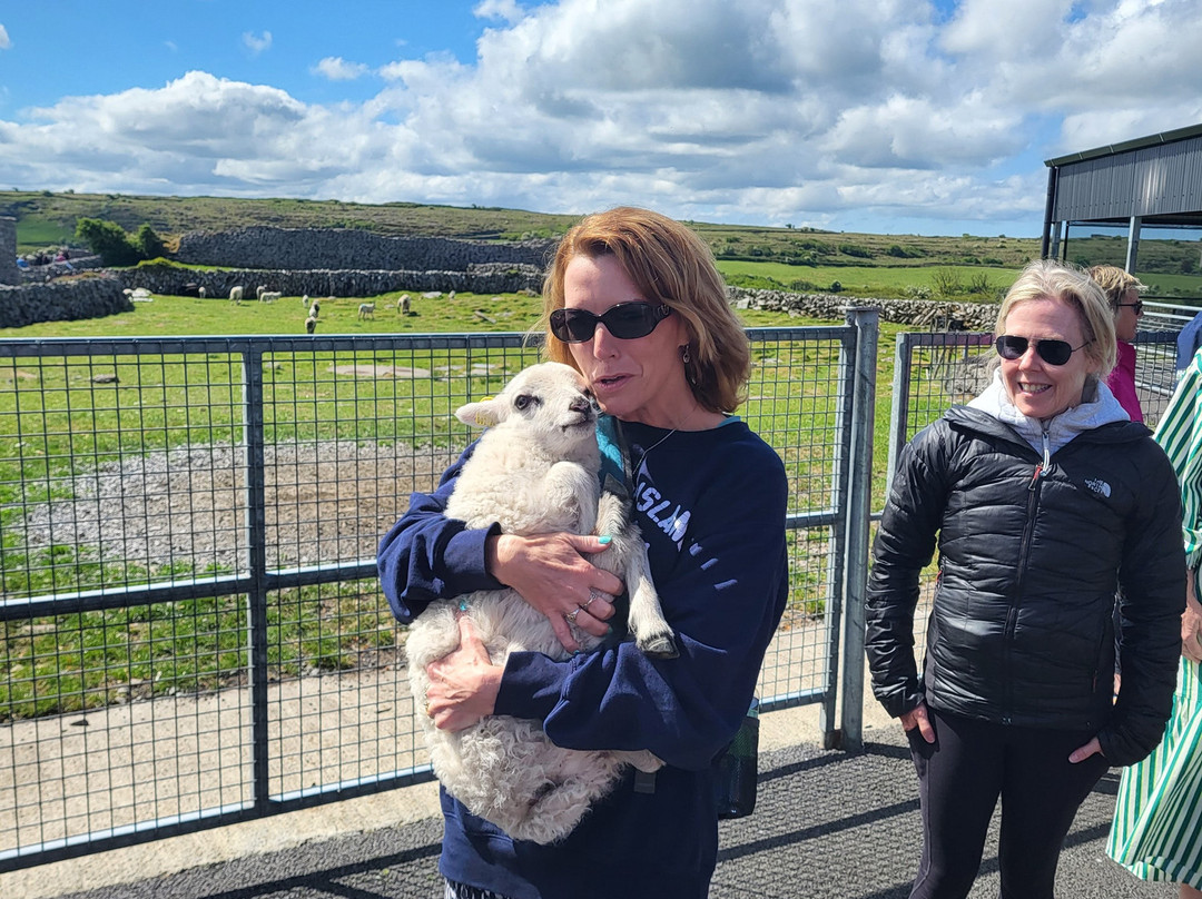 Lydon’s of Galway-都柏林必去景点