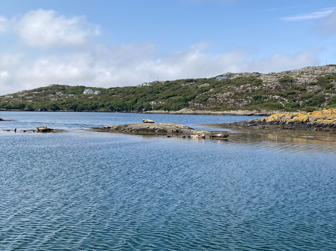 North Coast Sea Tours-Lochinver必去景点