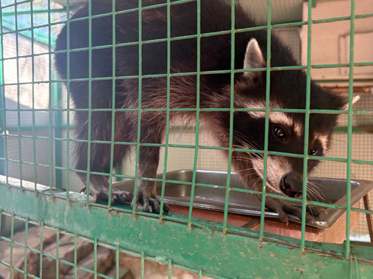 Discovery Park-Ilica必去景点