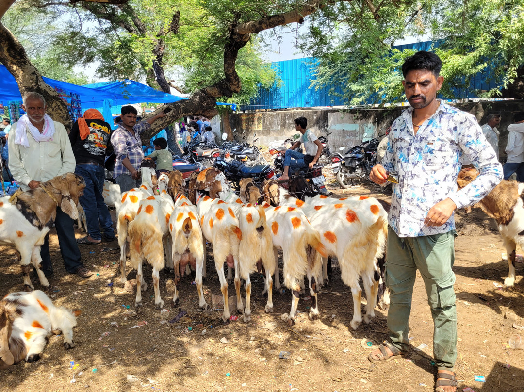 Select Holidays-因尼斯费尔必去景点