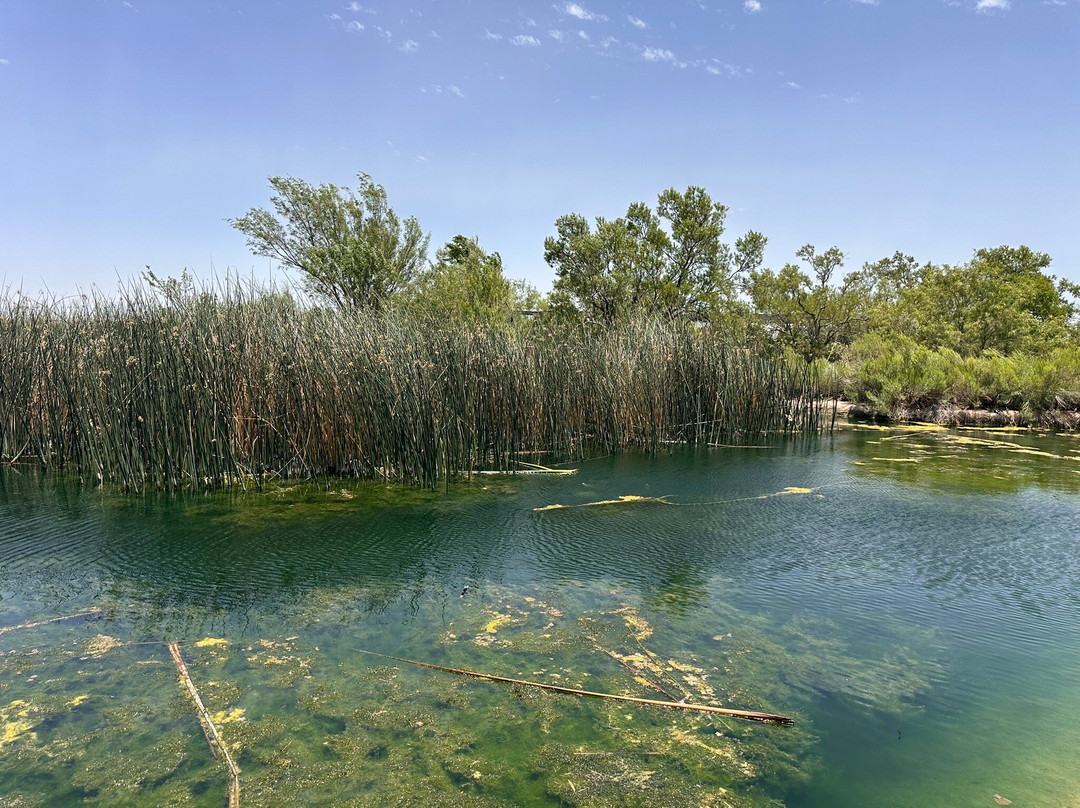 Living Desert Zoo and Gardens State Park-卡尔斯巴德必去景点