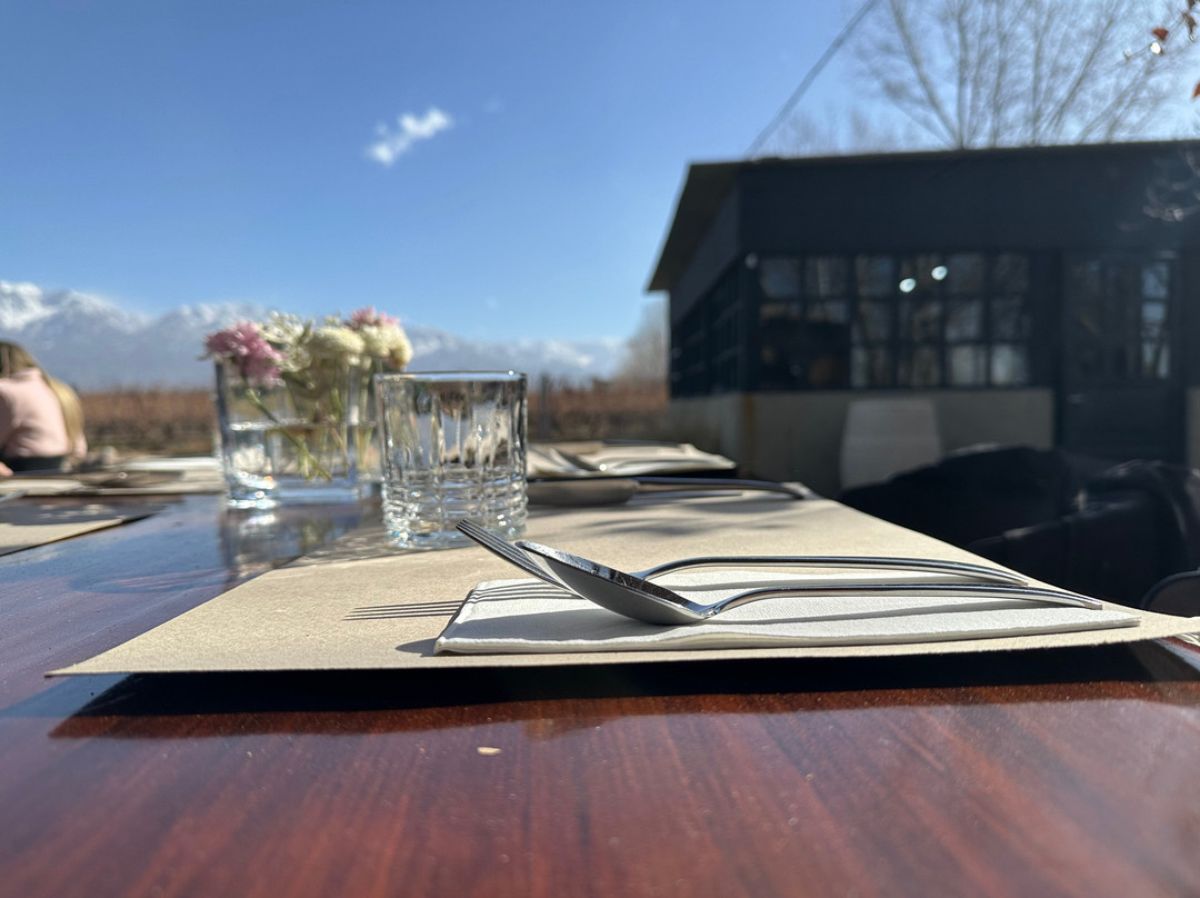 Cundo Altamira-La Consulta必去景点