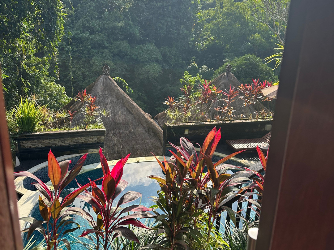 The Pari Sudha主图