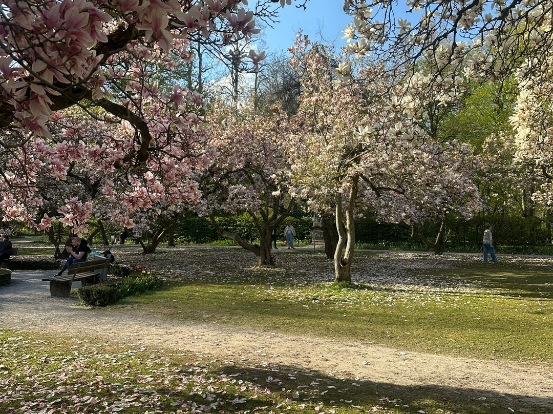 Magnolienhain-阿沙芬堡必去景点