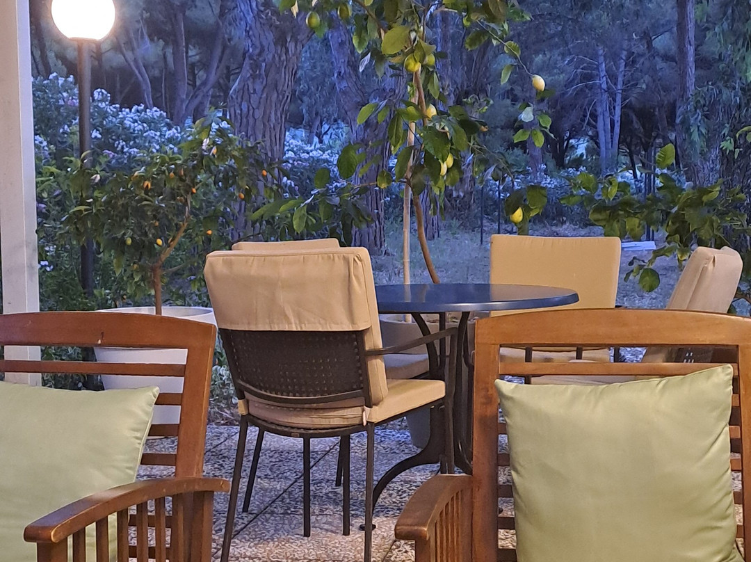 Hotel Giardino主图