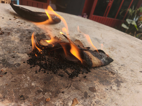 Oaxacan Roots, Cultural Immersion-瓦哈卡必去景点