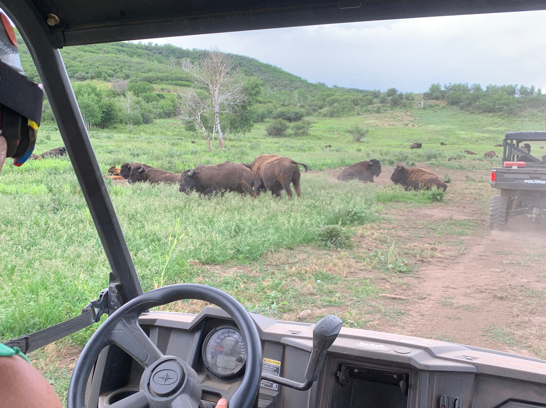 Lucky 8 Ranch-Oak Creek必去景点